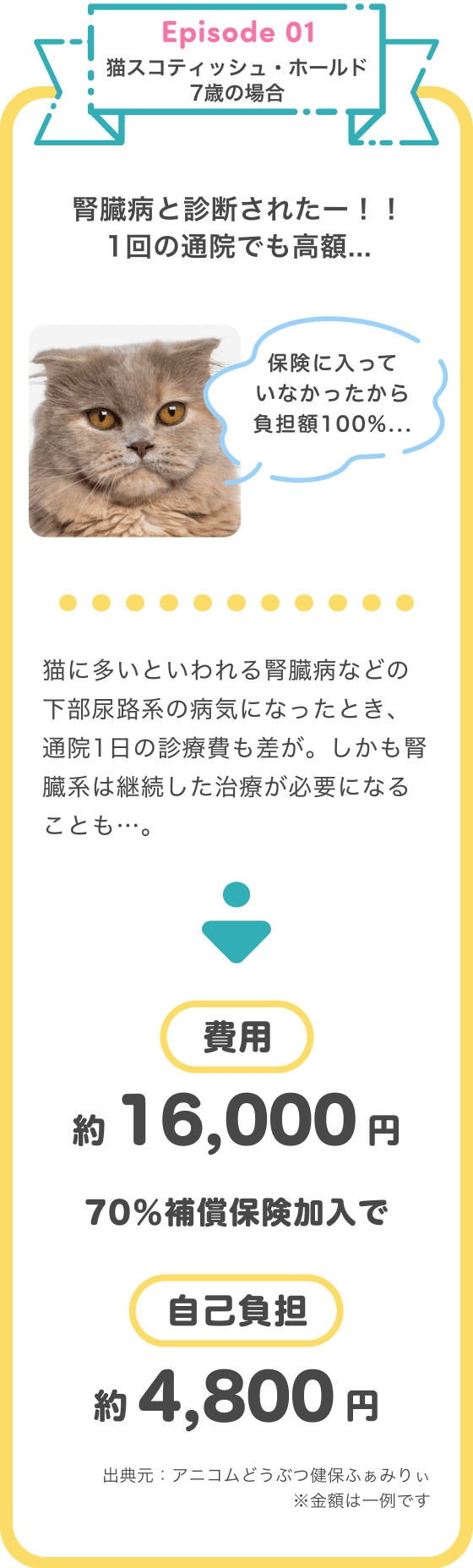 ペット保険は入るべき？ペットオーナーなら知っておきたい！【かんたん 